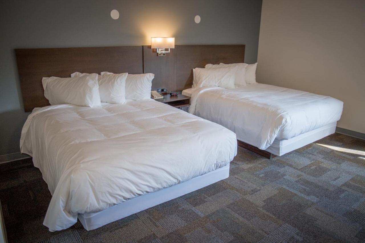 Bedrock Motel Mayo Landing Eksteriør bilde